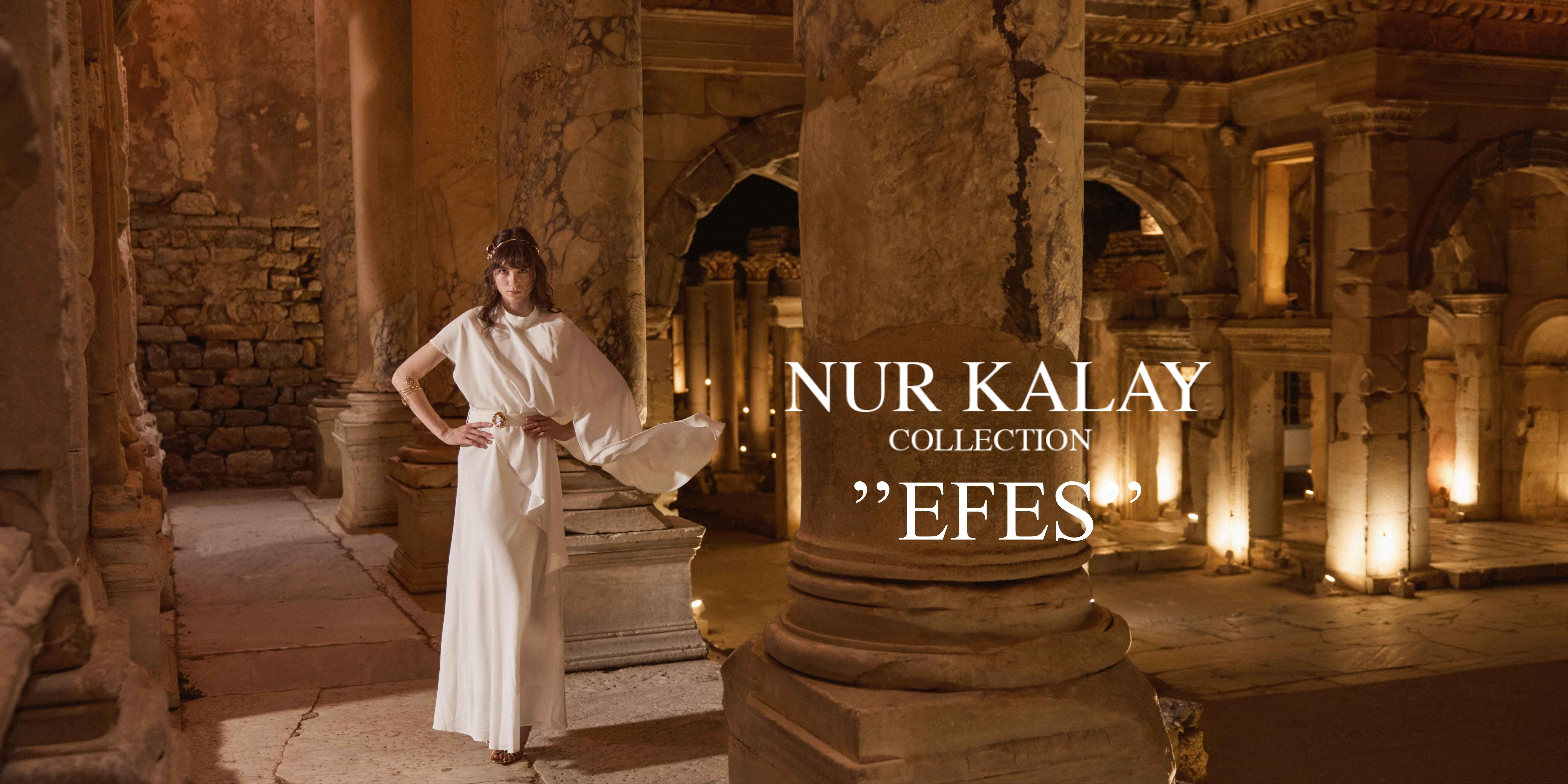 EFESS